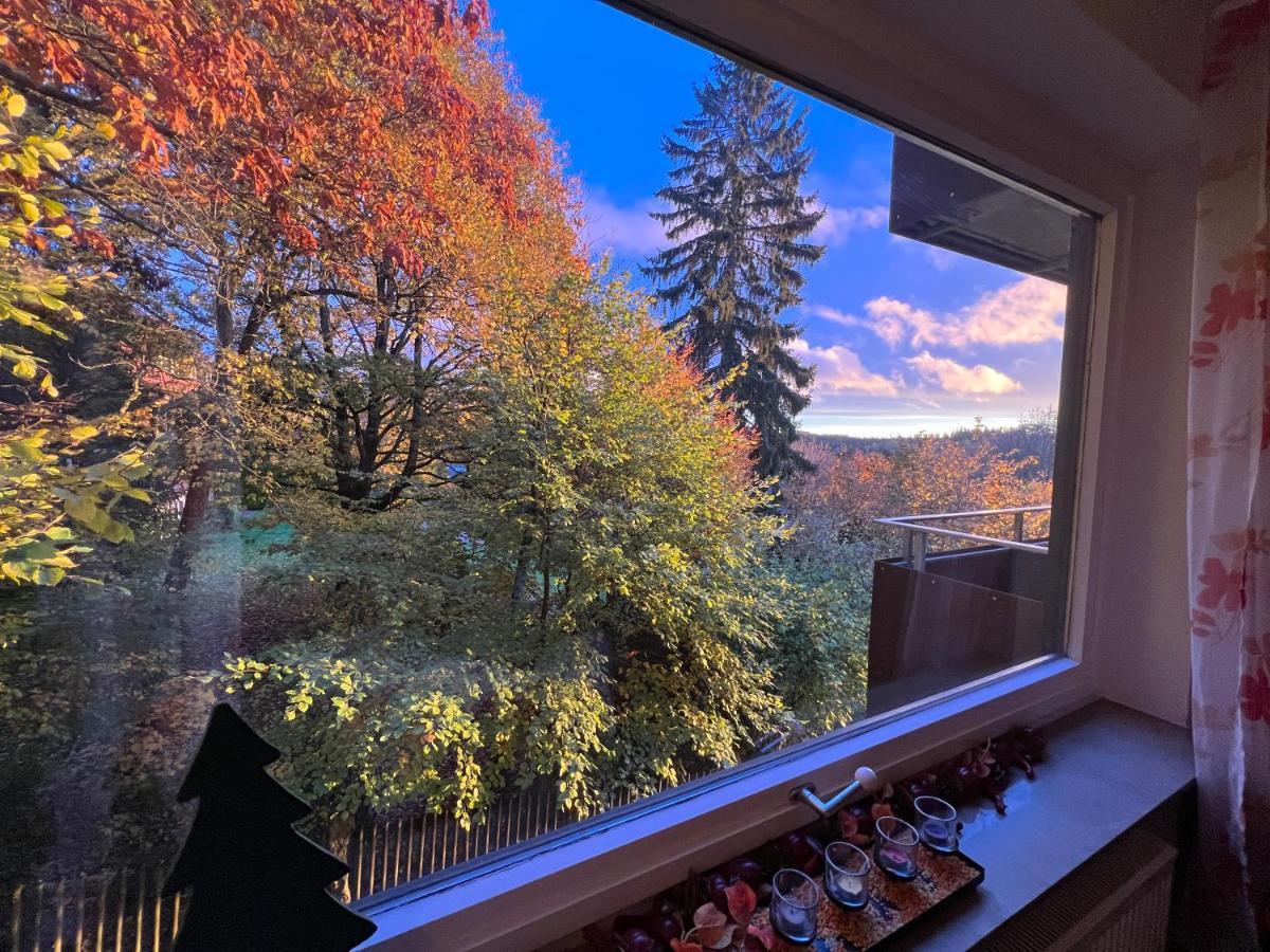 Moderne Und Zentral Gelegene Ferienwohnung In Braunlage Mit Rodelpiste Und Start Ski Langlauf In 300 Metern Entfernung Eksteriør bilde